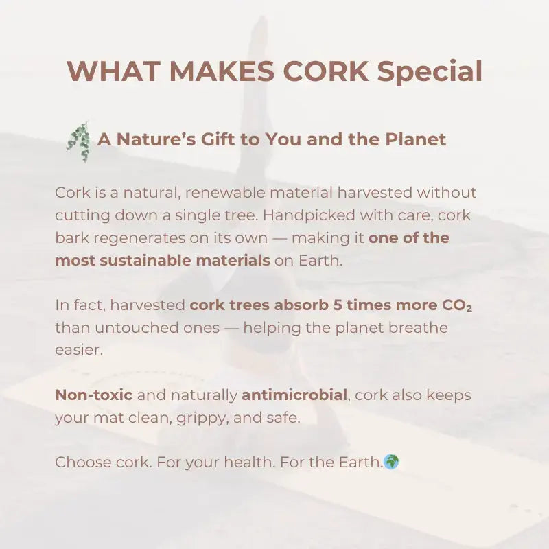 what-makes-cork-special_Yelopi_a