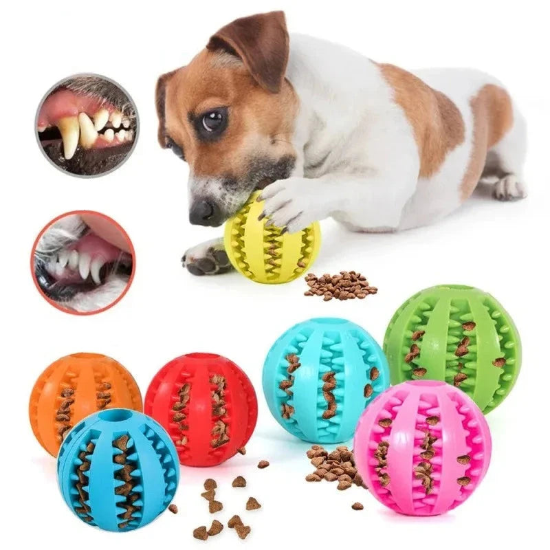 Bouncy Buddy Dog Chew Ball