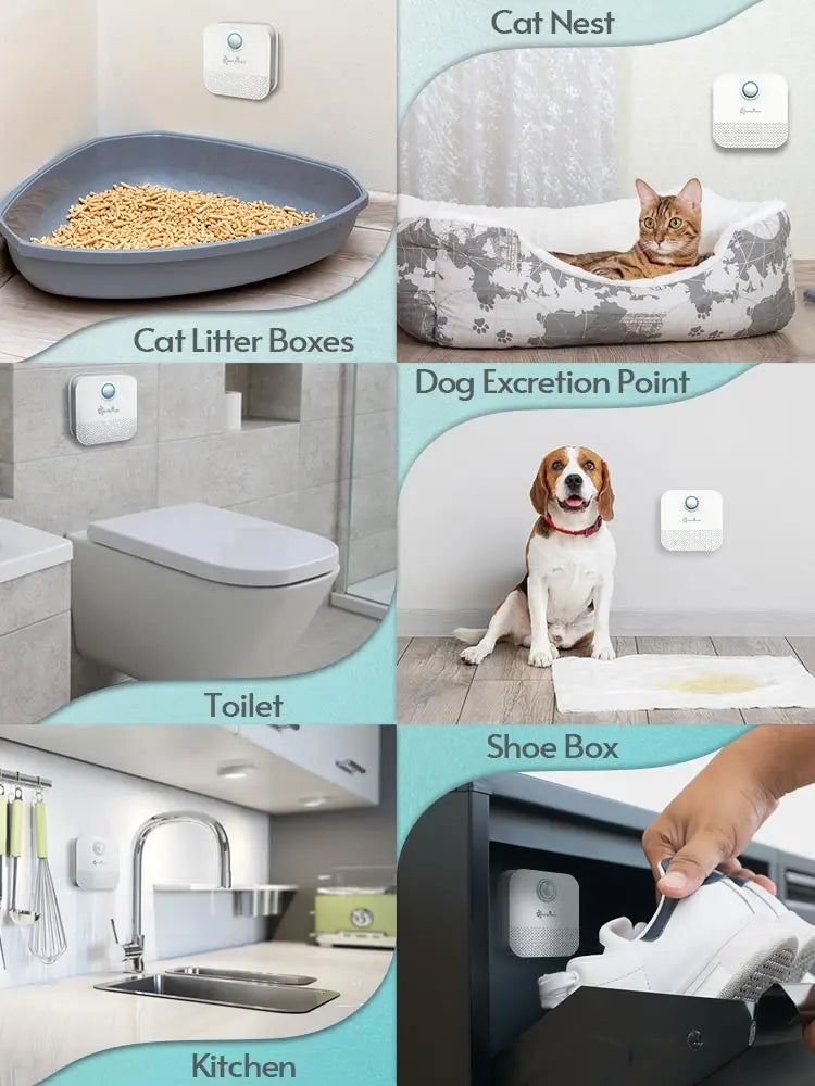 Éliminateur d'odeurs intelligent pour chat DownyPaws 4000 mAh