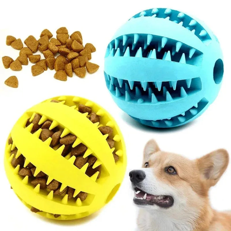 Bouncy Buddy Dog Chew Ball