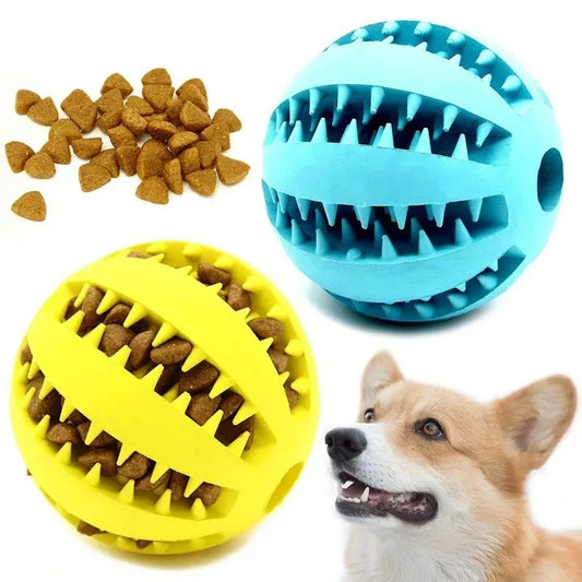 Pelota masticable para perros Bouncy Buddy