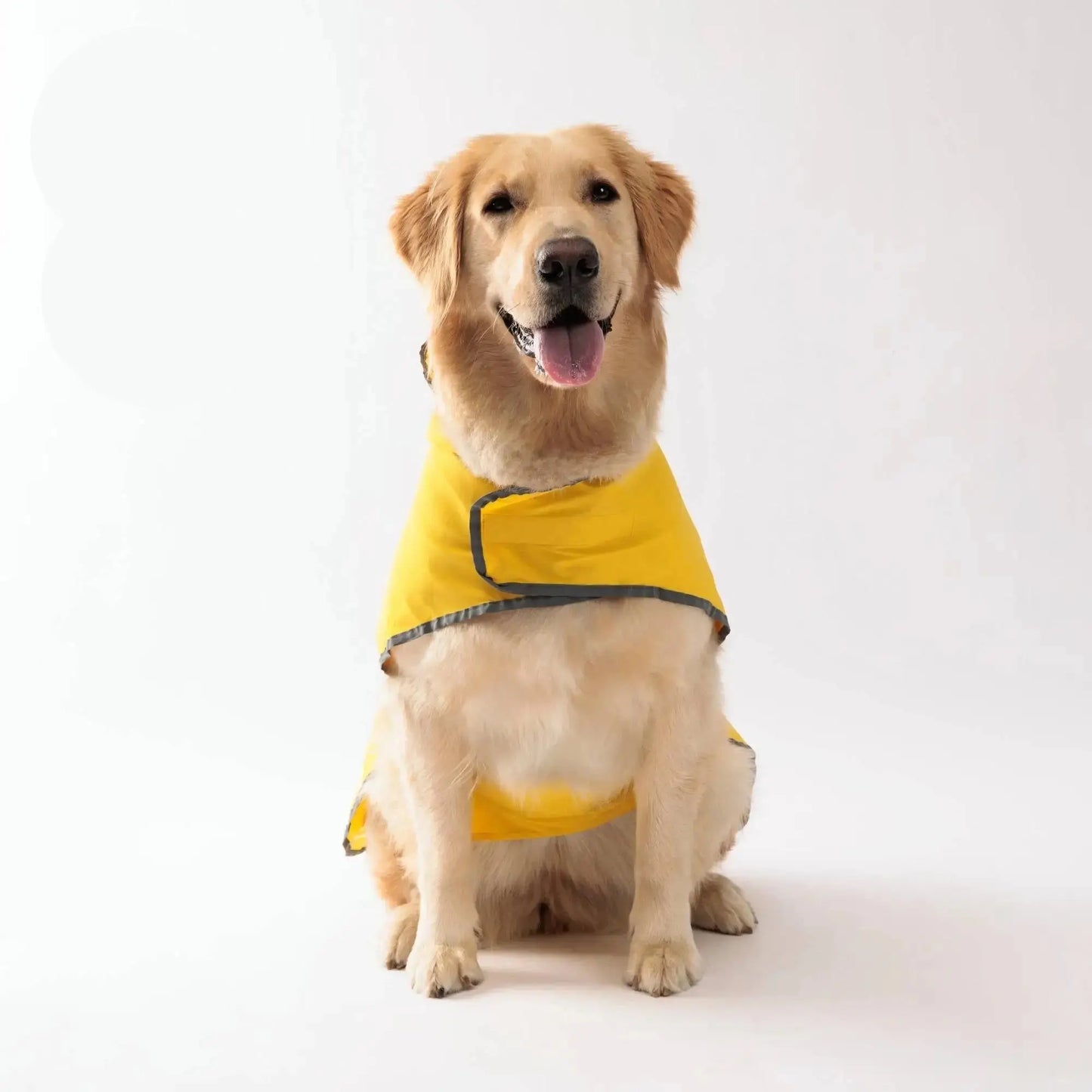 Waterproof-Dog-Coat-All-Wheather-yellow-color-dressing-a-dog - Yelopi