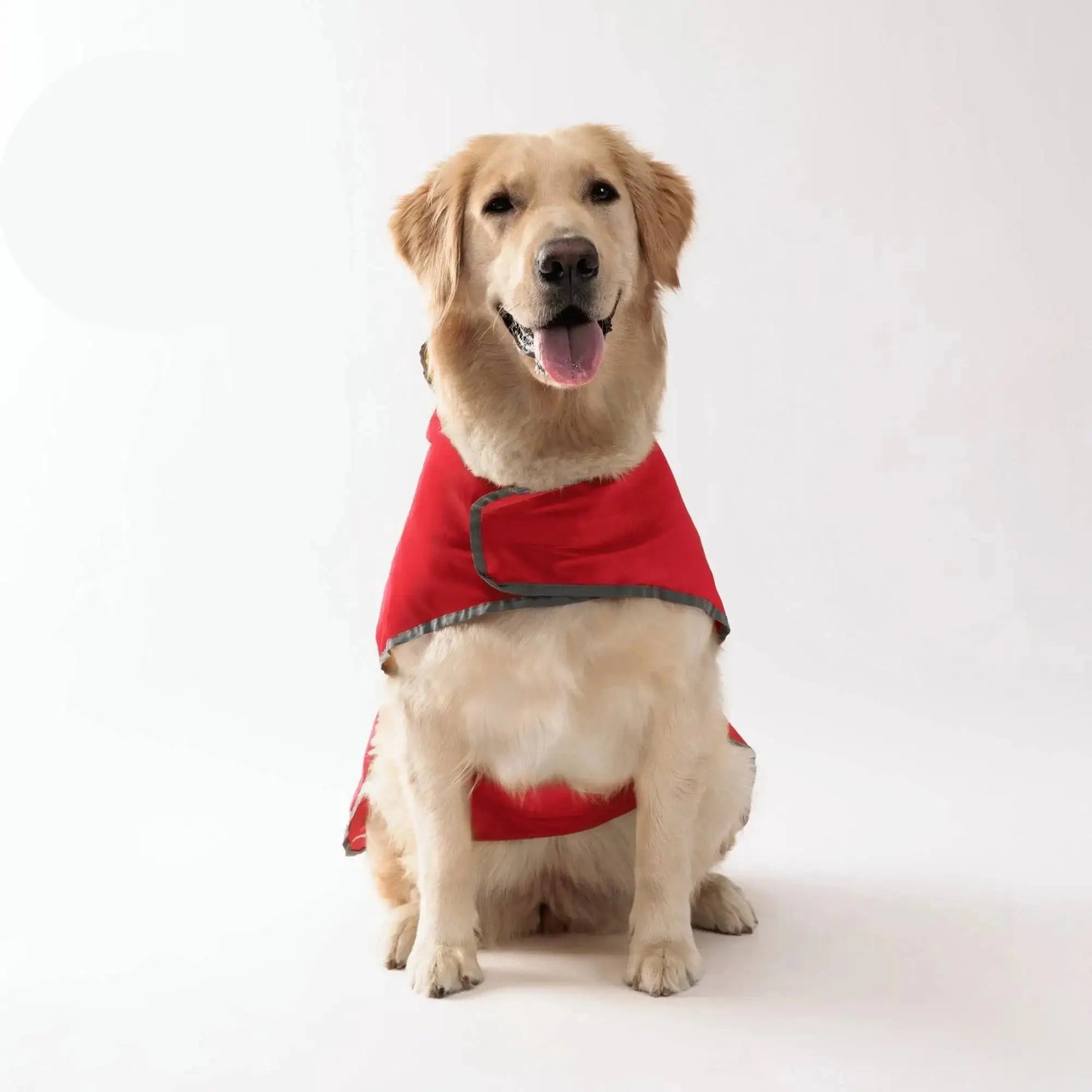 Waterproof-Dog-Coat-All-Wheather-Dressing-a-sitting-dog_Red-color-Yelopi